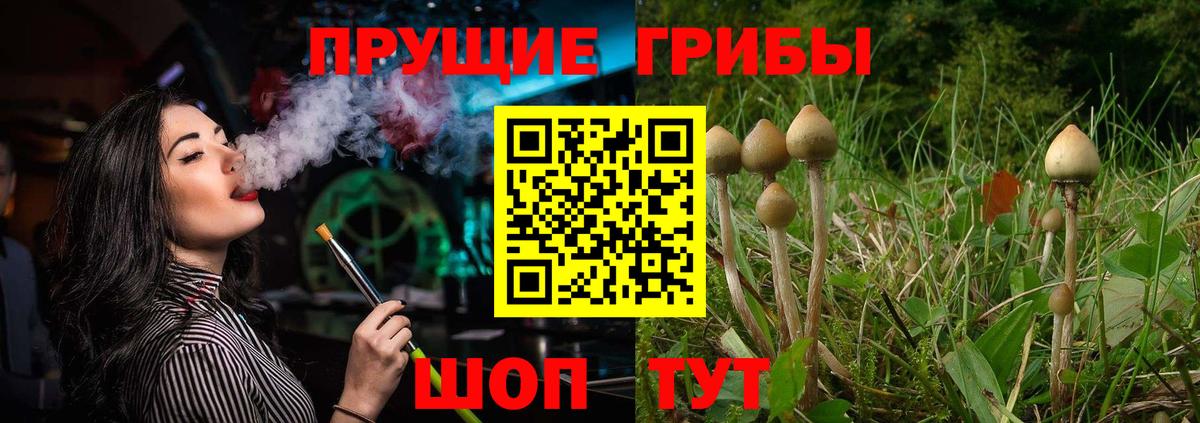 Галлюциногенные грибы мицелий  Псилоцибиновые грибы мицелий  Вход с VPN  купить  цена  Касимов 